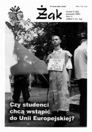 Numer 6(33)